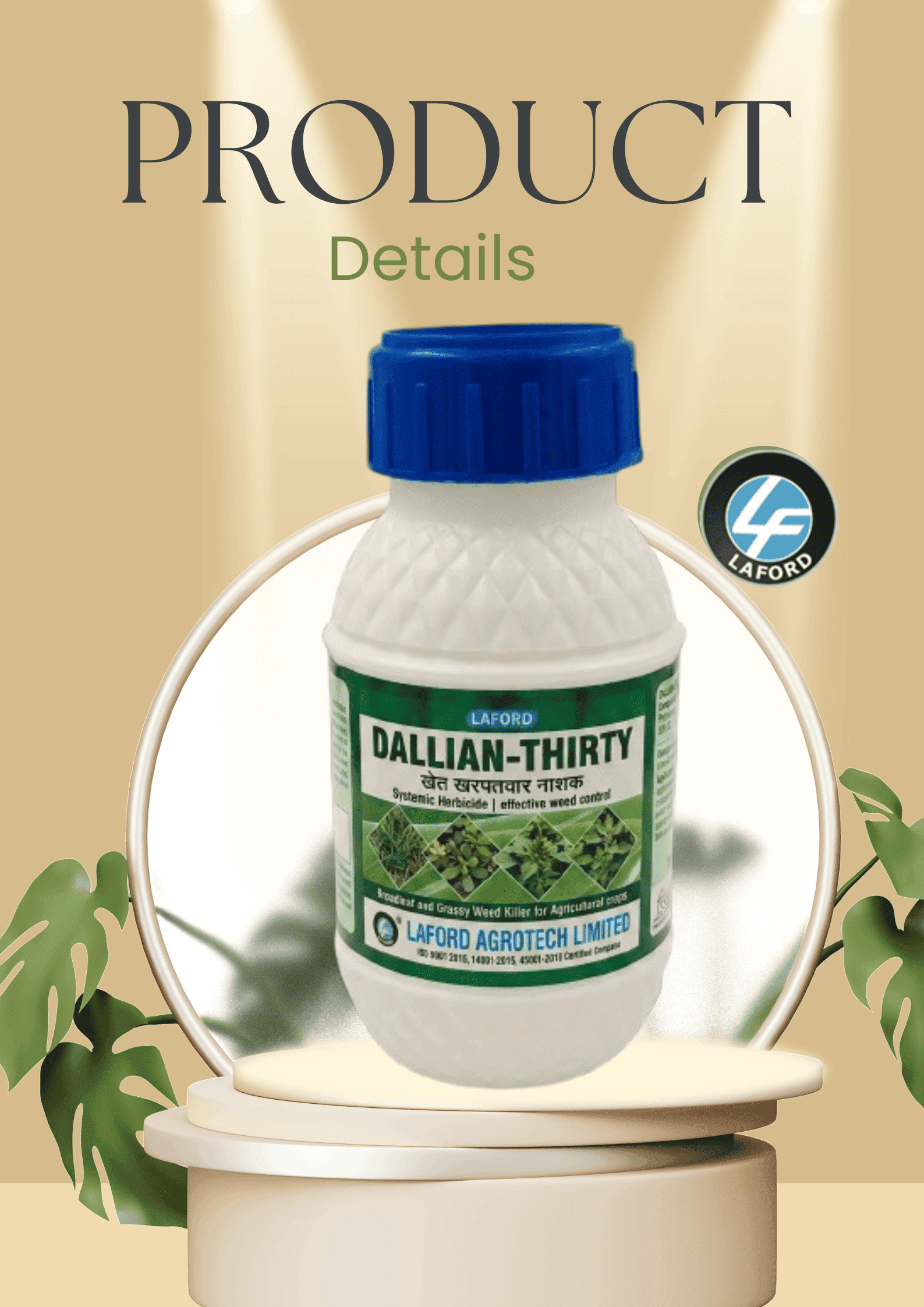 Dallian 30