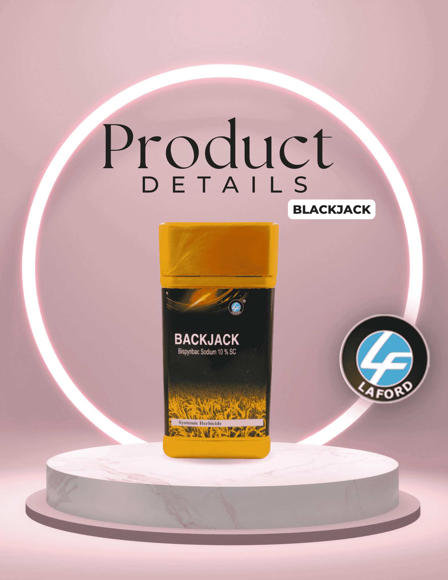 Backjack