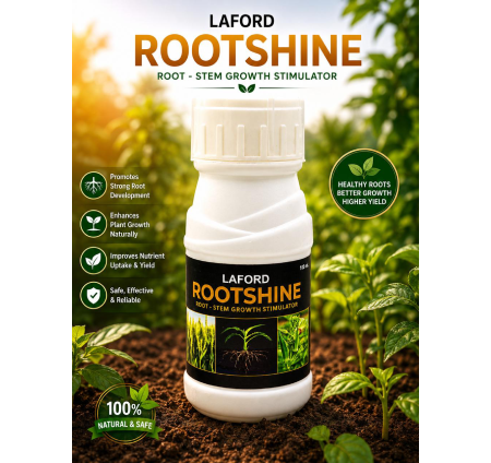 Laford Rootshine