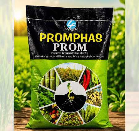 Laford Promphas Prom