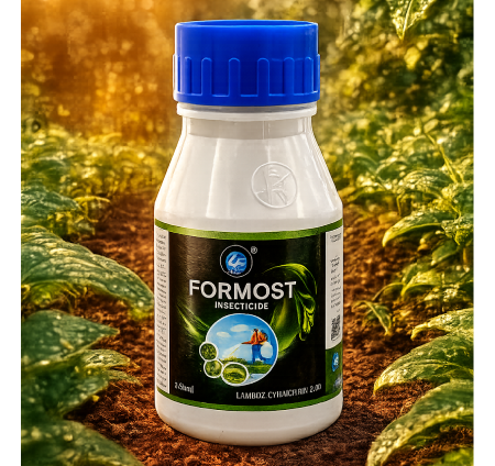 Laford Formost