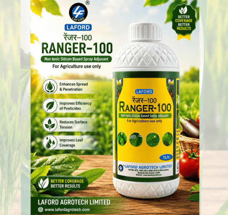 Laford Ranger-100