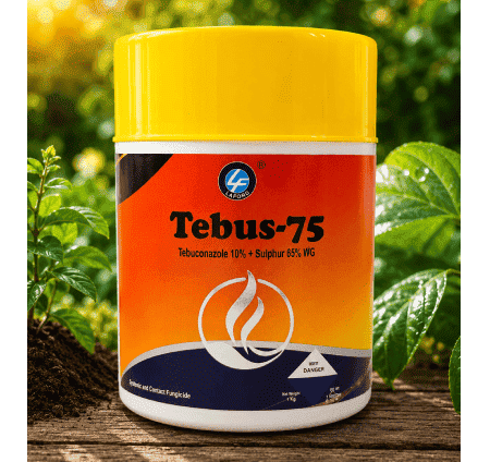 Laford Tebus-75