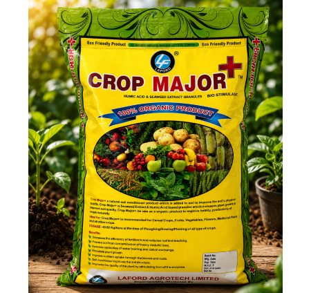 Laford Crop Major +