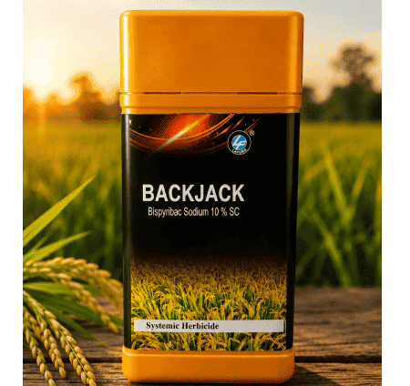 Laford Backjack