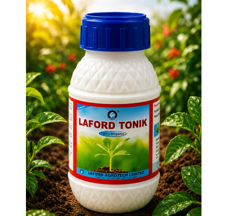 Laford Tonik
