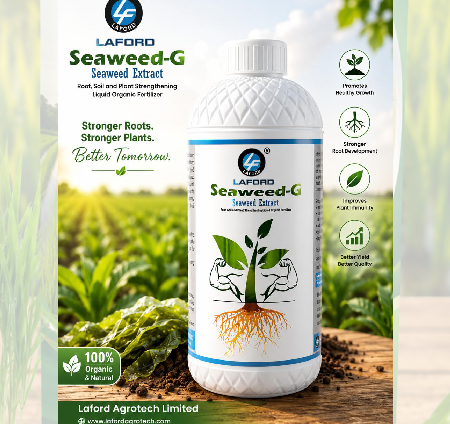 Seaweed-G